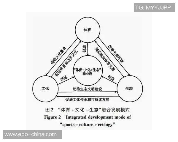 运动文化视角下的全球体育变革与社交互动对现代社会的深远影响分析 运动文化视角下的全球体育变革与社交互动对现代社会的深远影响分析