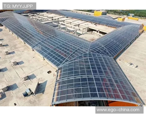 北京滑板队实力对比深度解析与未来发展趋势探讨