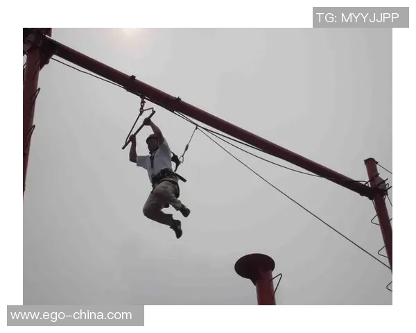 重庆极限运动队团队协作的深度剖析与对比研究 重庆极限运动队团队协作的深度剖析与对比研究